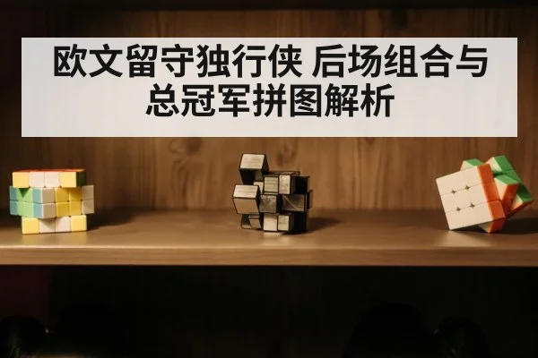 欧文留守独行侠 后场组合与总冠军拼图解析